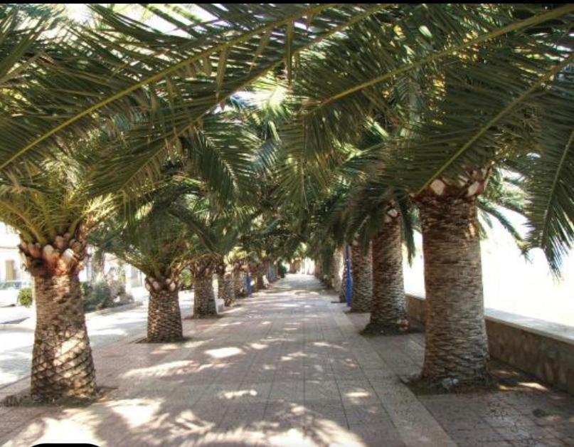 Vcc Home'S El Puerto de Mazarrón Zewnętrze zdjęcie